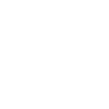 icons8 experience 100